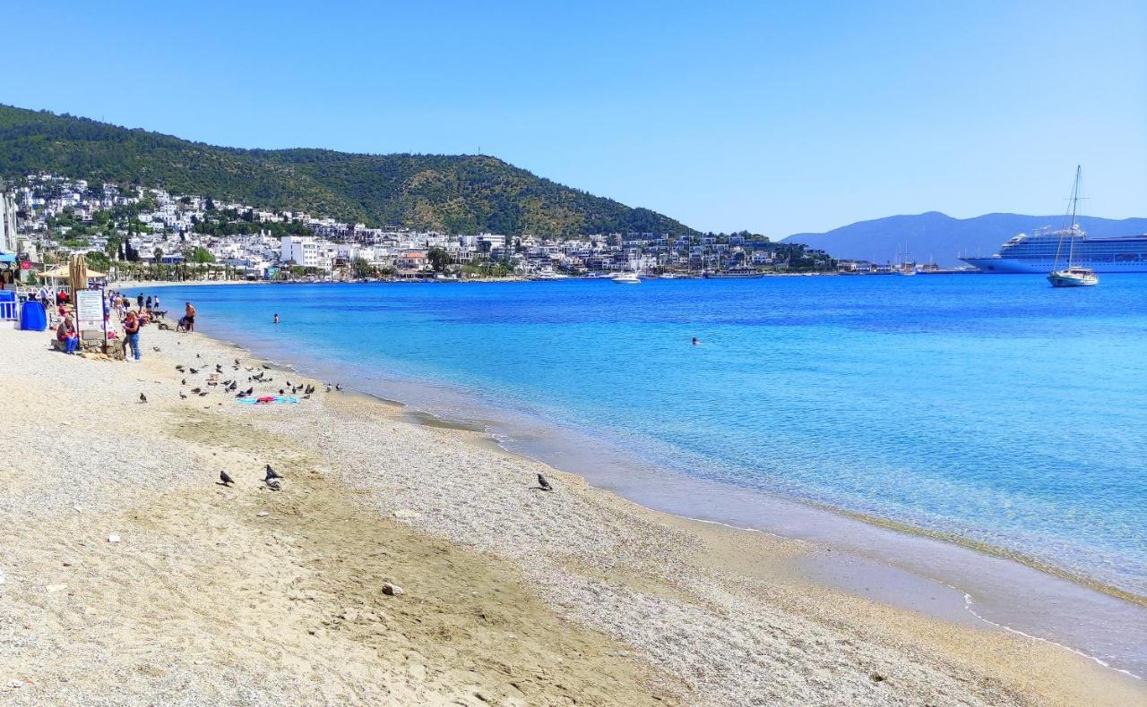 Central, Cozy, 15 Min Walk To The Beach, Fast Wi-fi, Free Parking, 4ppl Daire Bodrum